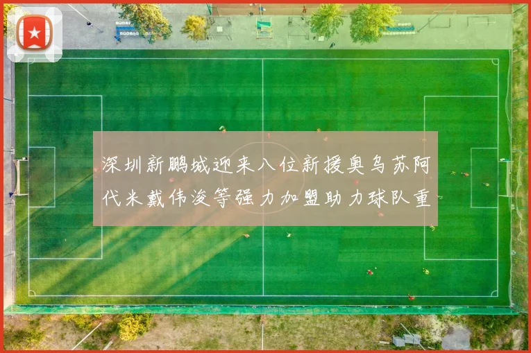 深圳新鹏城迎来八位新援奥乌苏阿代米戴伟浚等强力加盟助力球队重塑辉煌