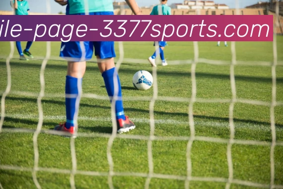 3377体育APP 封面图